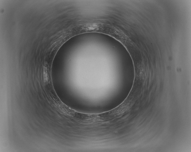 X0000073451442200608041016