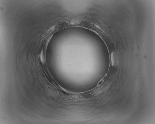 X0000073451443200608041016