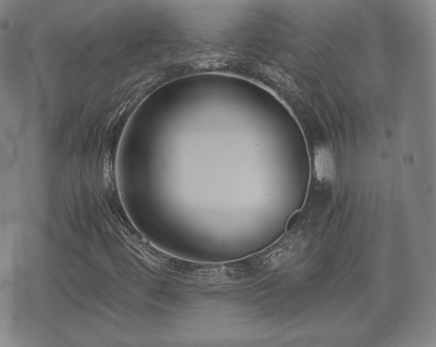 X0000073451444200608041016