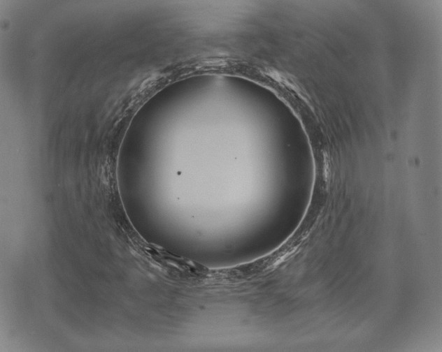 X0000073451445200608041016