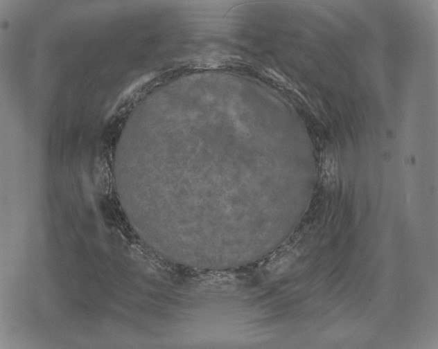 X0000073451446200608041016