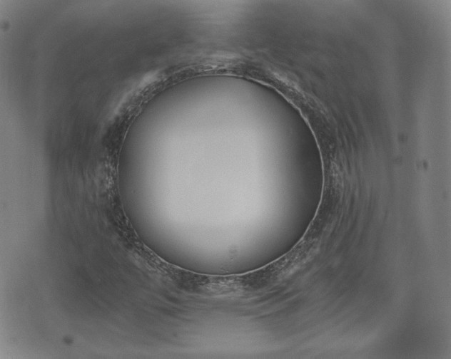 X0000073451447200608041016