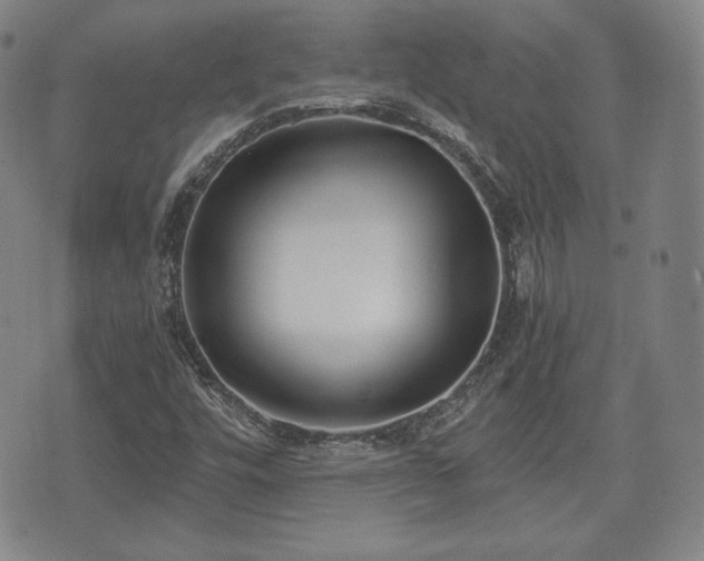 X0000073451448200608041016