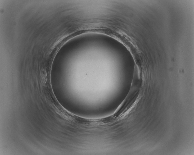 X0000073451449200608041016