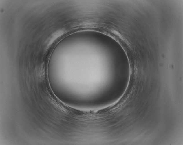 X0000073451450200608041016