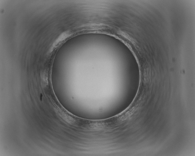 X0000073451451200608041016