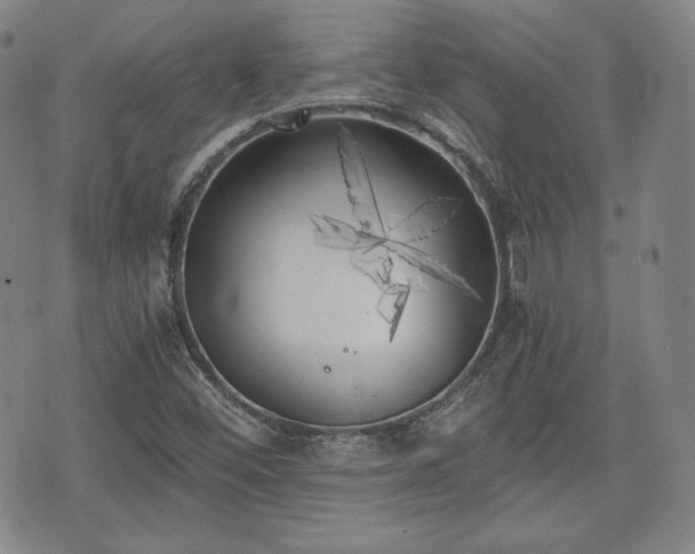 X0000073451452200608041016