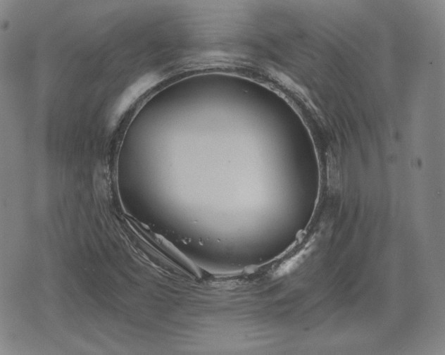 X0000073451453200608041015