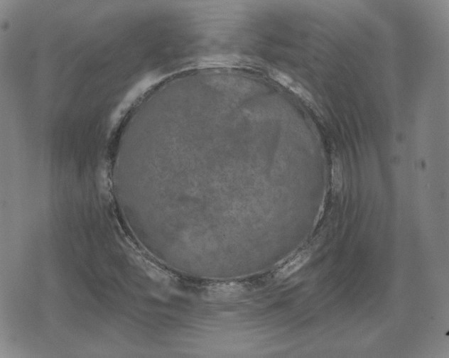 X0000073451454200608041015