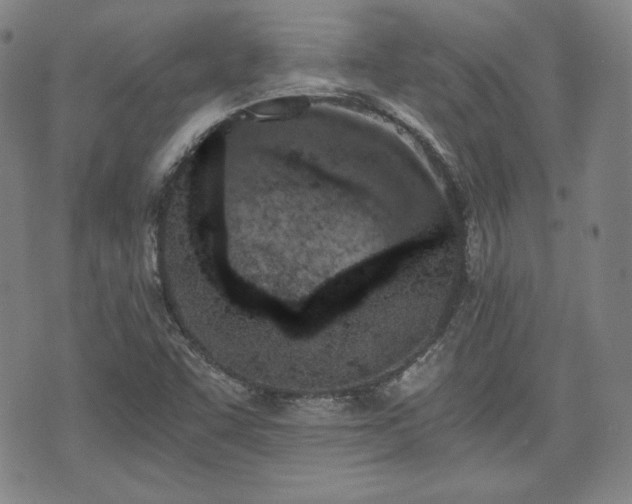 X0000073451455200608041015