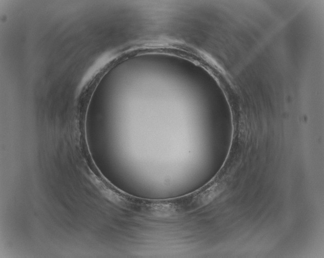 X0000073451456200608041015