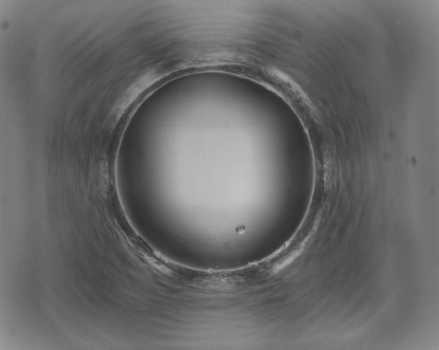 X0000073451457200608041015