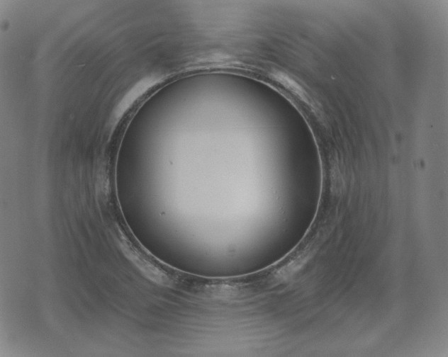 X0000073451458200608041015