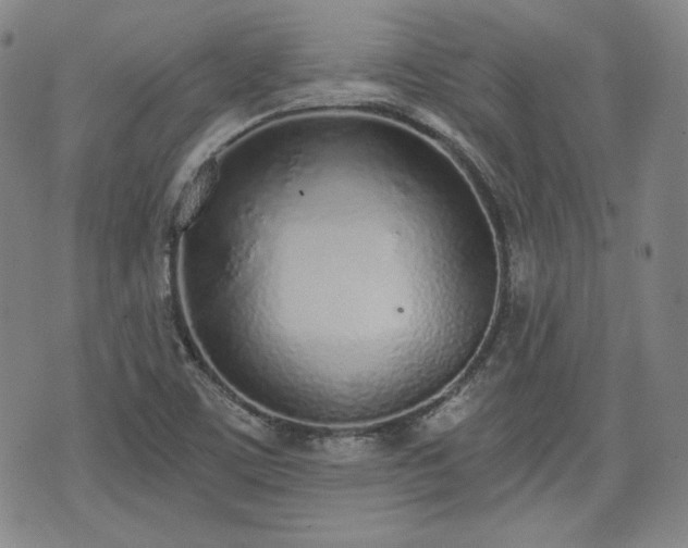 X0000073451459200608041015