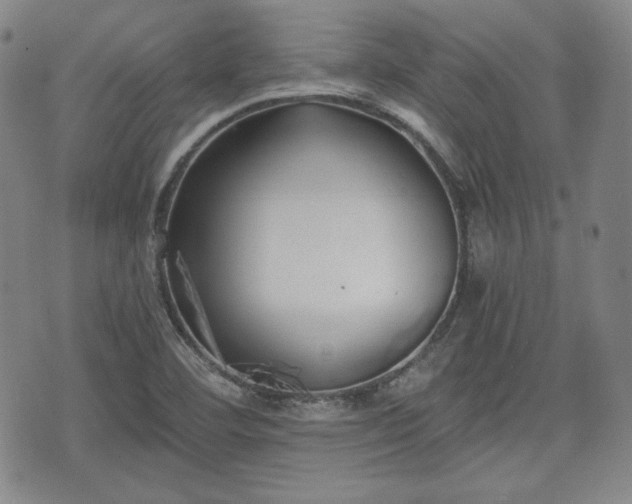 X0000073451460200608041015