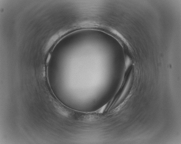 X0000073451461200608041015