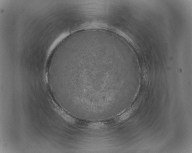 X0000073451462200608041015