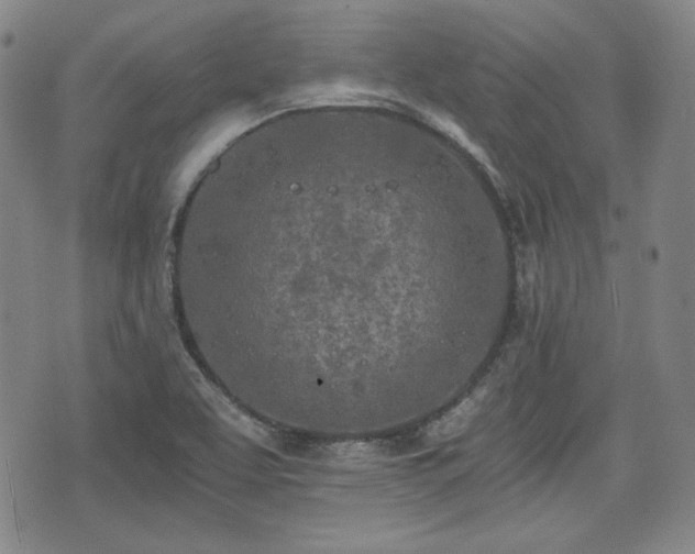 X0000073451463200608041015