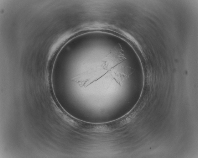 X0000073451464200608041015