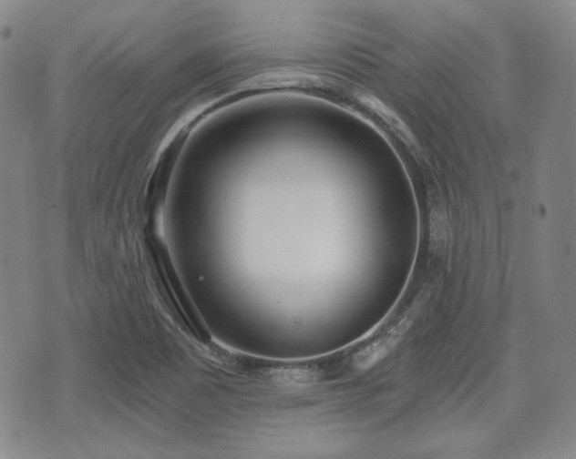 X0000073451465200608041015