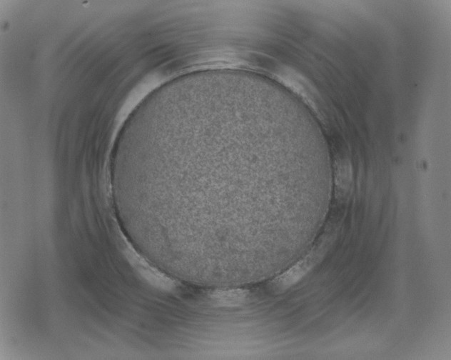 X0000073451466200608041015