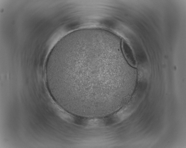 X0000073451467200608041015