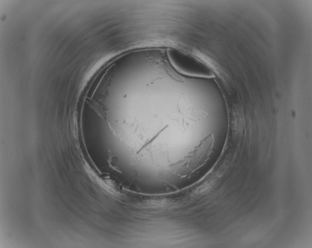 X0000073451468200608041015