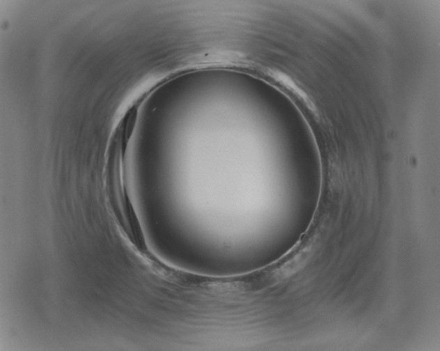 X0000073451469200608041015