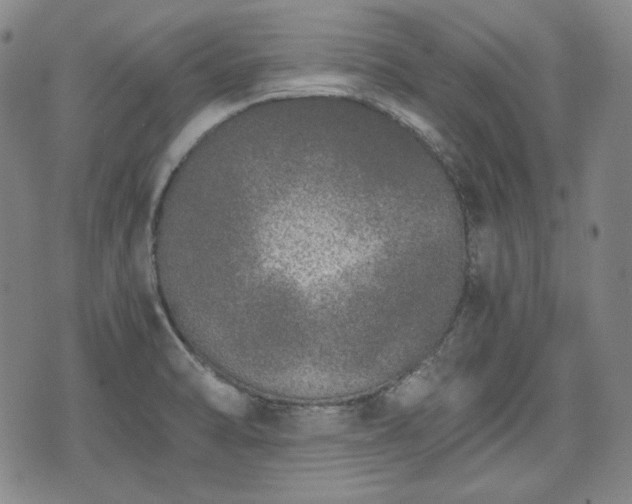 X0000073451470200608041015