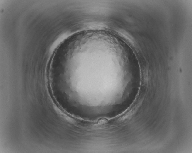 X0000073451471200608041015