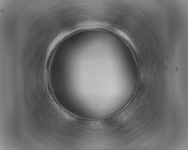 X0000073451472200608041015