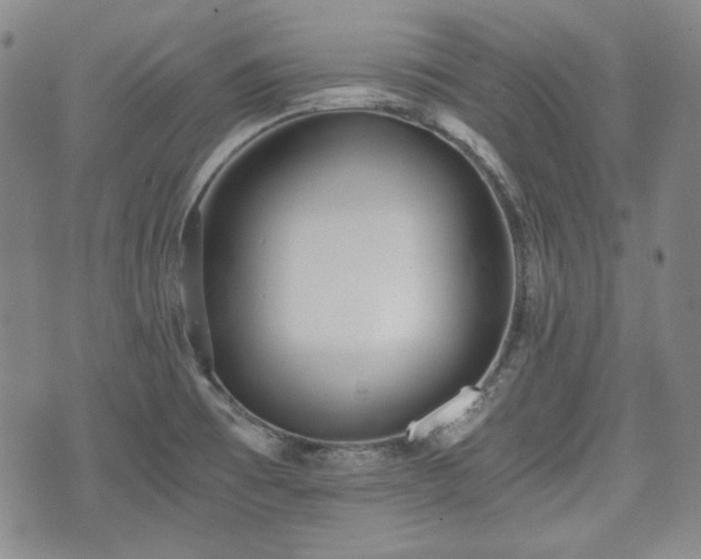 X0000073451473200608041015