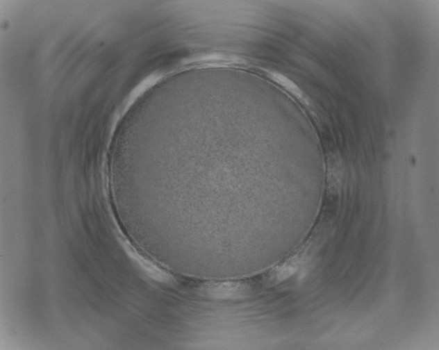 X0000073451474200608041015