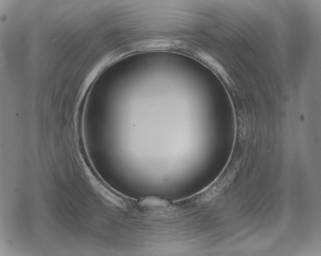 X0000073451475200608041015