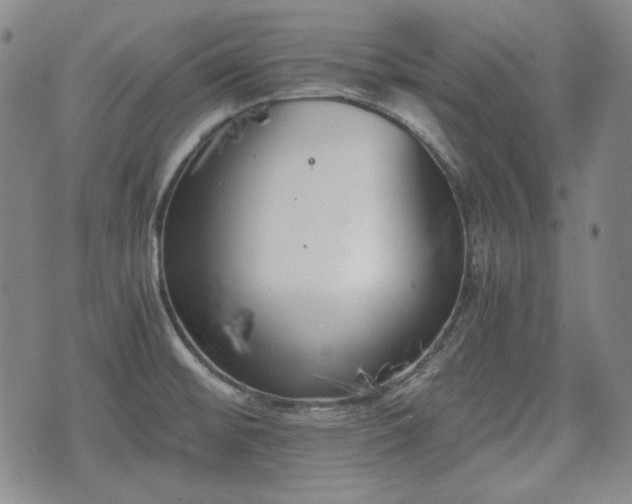 X0000073451476200608041015