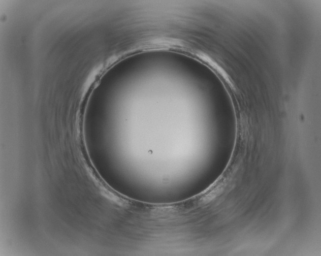 X0000073451477200608041015