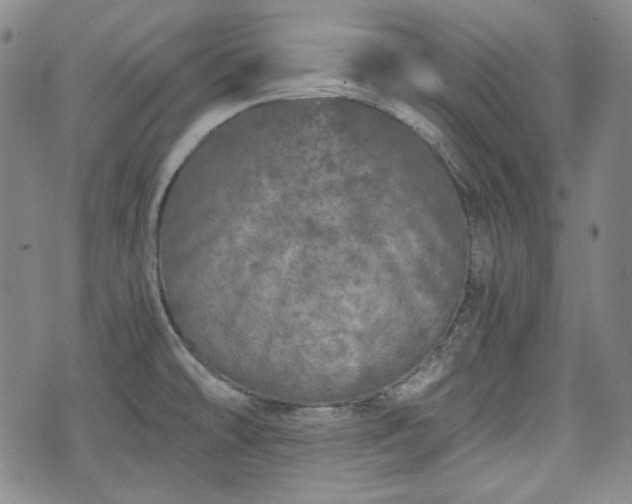 X0000073451478200608041015