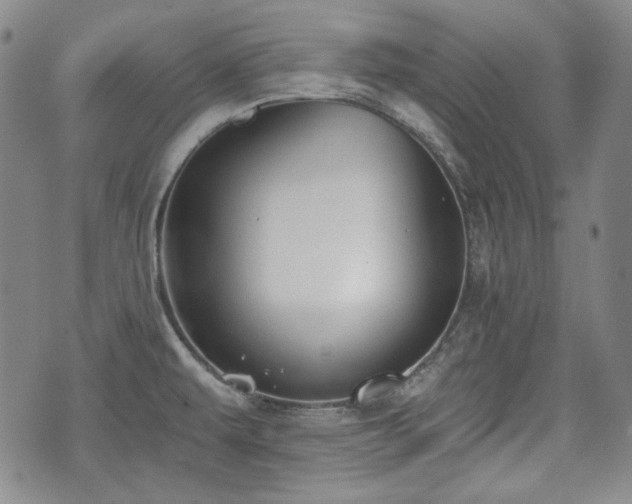 X0000073451479200608041015