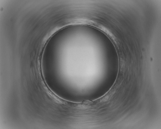 X0000073451480200608041015