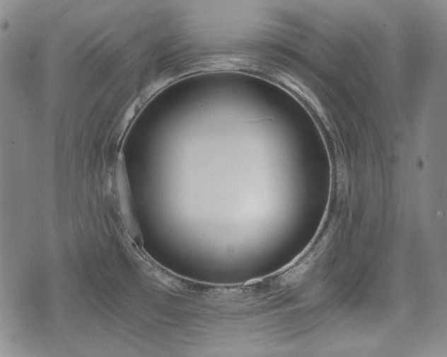 X0000073451481200608041015