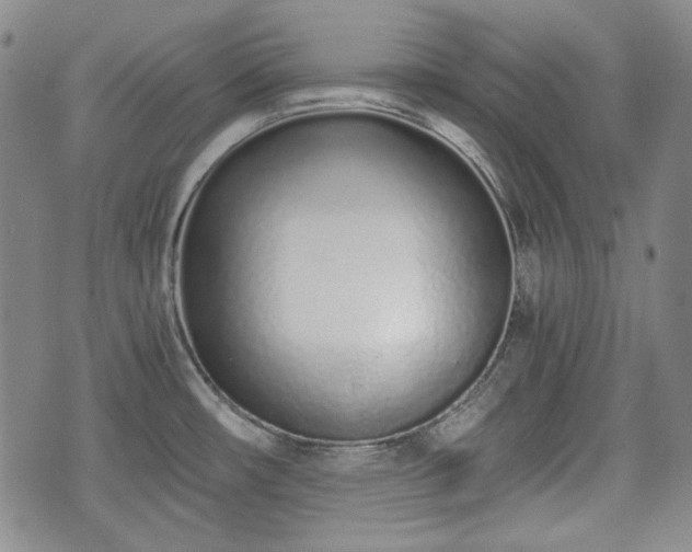 X0000073451482200608041015