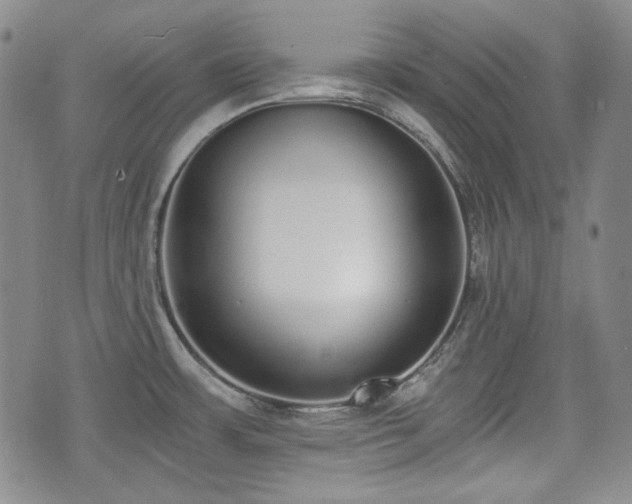 X0000073451483200608041015