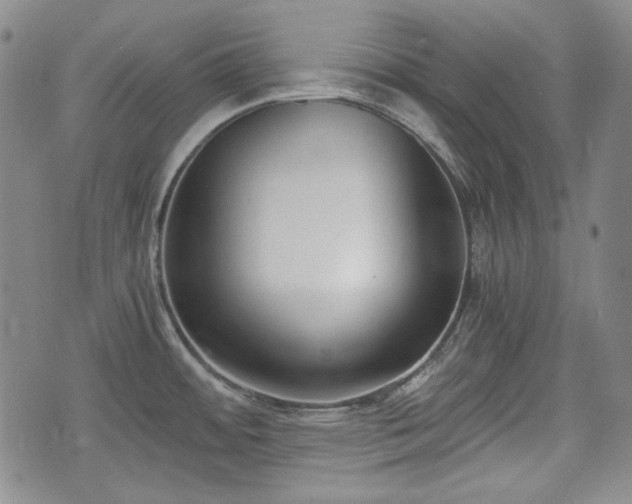 X0000073451484200608041015