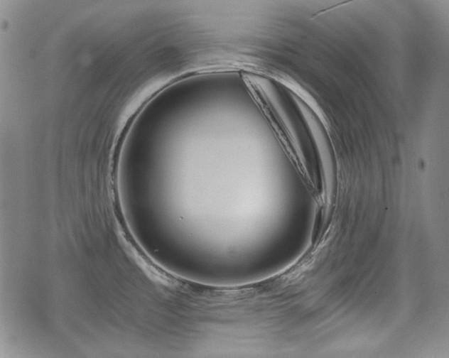 X0000073451485200608041015