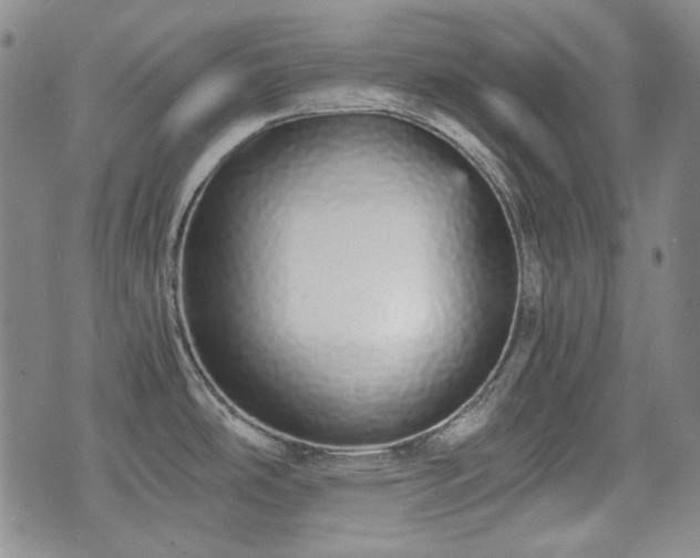 X0000073451486200608041015