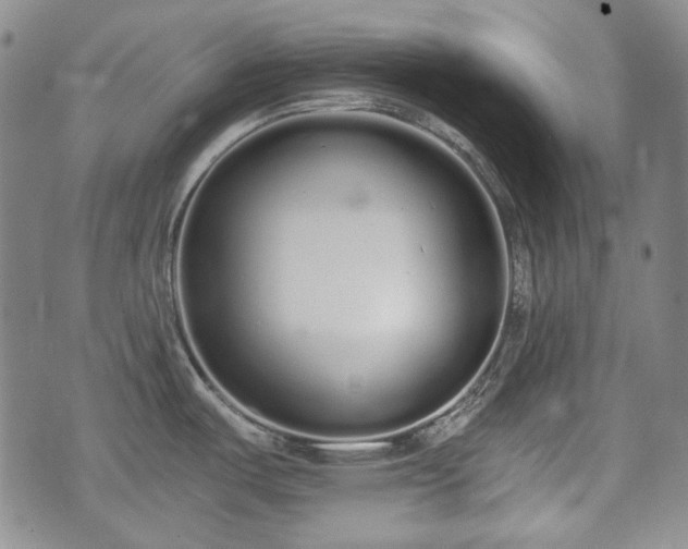 X0000073451487200608041015