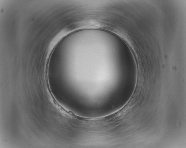 X0000073451488200608041015