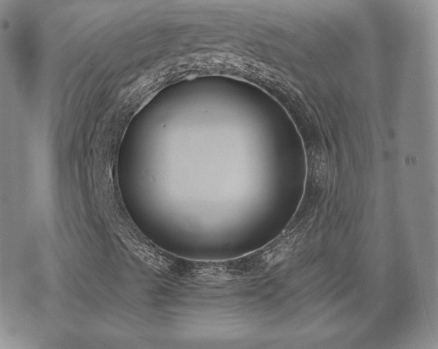 X0000073451489200608041014