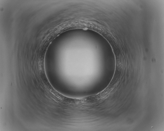 X0000073451490200608041014