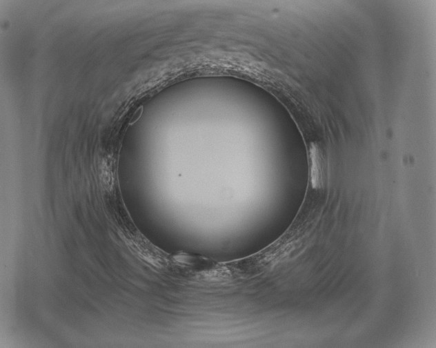 X0000073451491200608041014